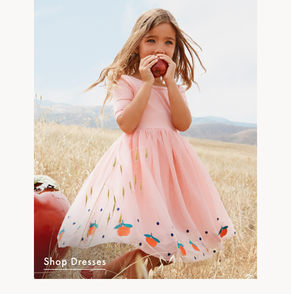 Embroidered Tulle Dress