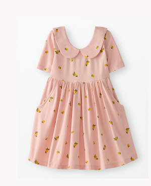 Collared Skater Dress with Pockets