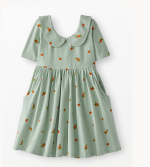 Collared Skater Dress with Pockets