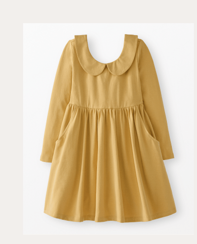 Fall Collared Dress