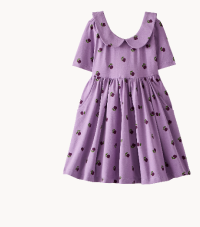Collared Skater Dress with Pockets