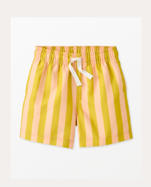 Striped Swim Trunks