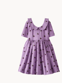 Collared Skater Dress with Pockets Collared Skater Dress with Pockets