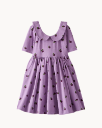 Collared Skater Dress with Pockets