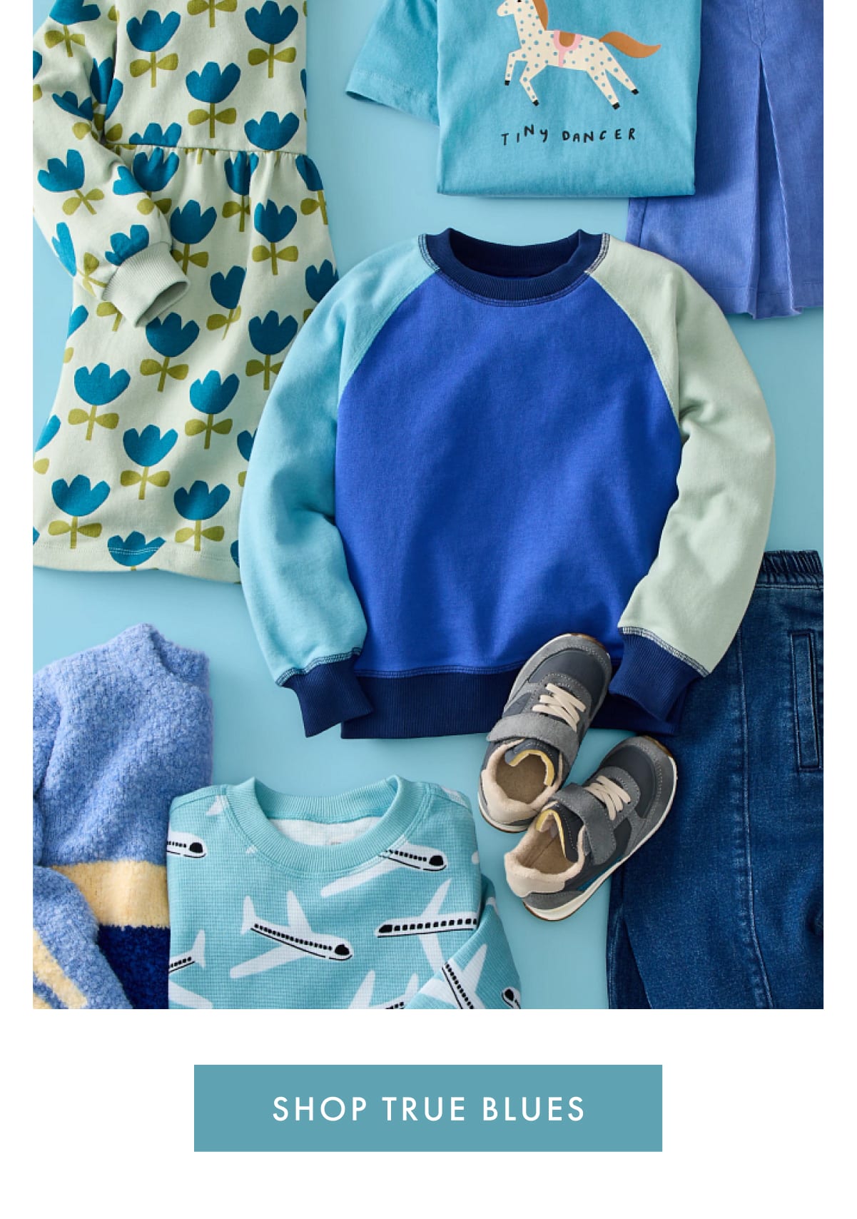 SHOP TRUE BLUES