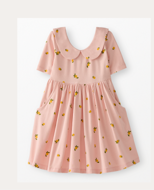 Collared Skater Dress with Pockets | Clementine on Pink Cream