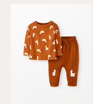 Baby Long Sleeve T-Shirt & French Terry Pants Set | Donna the Llama on Dogwood