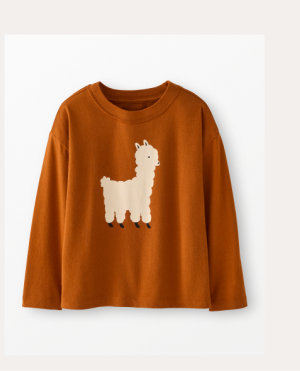 Long Sleeve Relaxed Fit Graphic T-Shirt | Donna the Llama on Dogwood