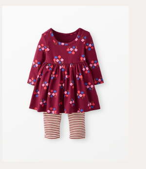 Baby Long Sleeve Skater Dress & Leggings Set | Flowers on Cherry Lacquer