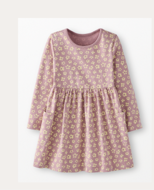 Long Sleeve Playground Dress with Pockets