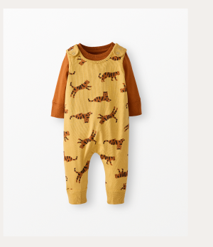 Baby Long Sleeve T-Shirt & Overalls Set
