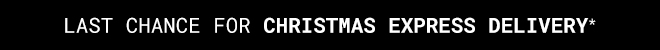 Last Chance For Christmas Delivery* Shop Now >>