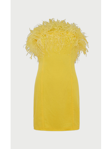feather bandeau mini dress