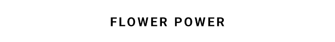FLOWER POWER - SHOP NOW