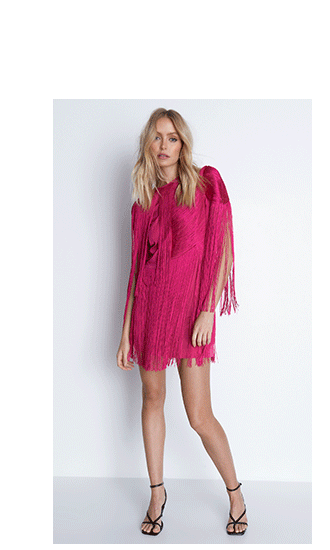Tassel Mini Dress
