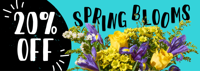 20% off spring blooms