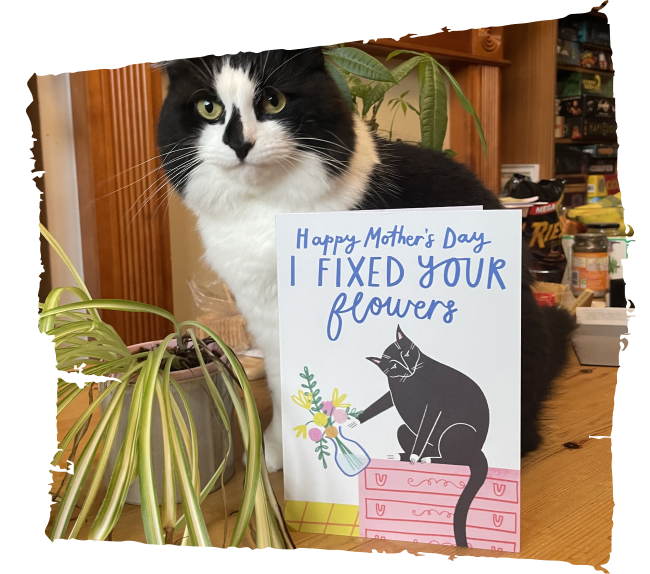 from the cat mother's day card