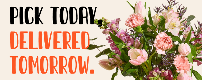 Mother's Day flowers