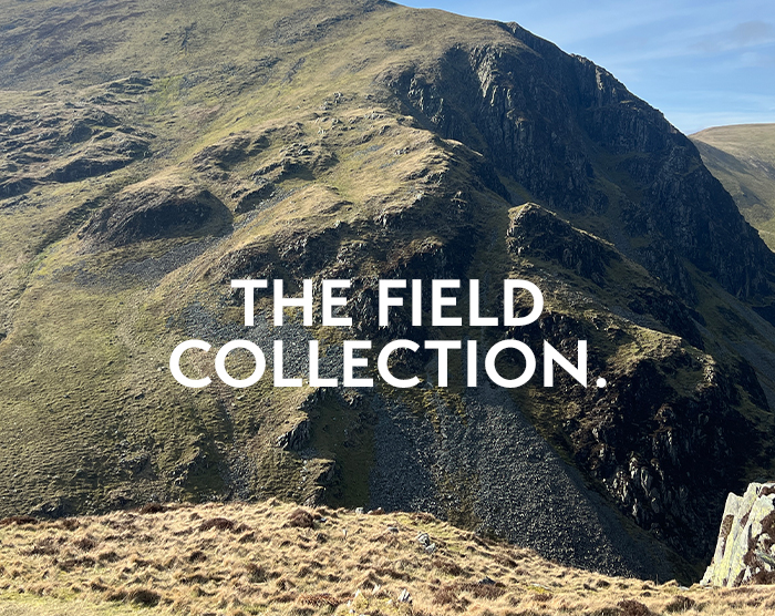 National Trust Collection