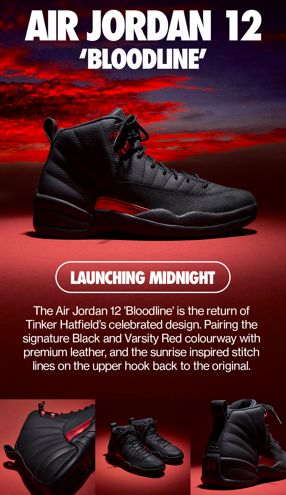 Air Jordan 12 Retro 'Bloodline'
