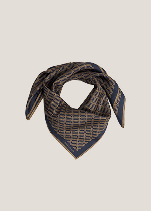 Bria Silk Scarf