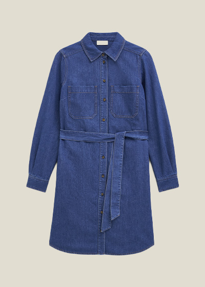 Francesca Denim Dress
