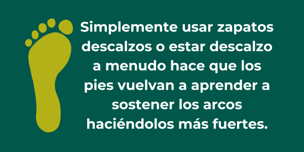 Be Lenka Prestage Moccasins - Navy & Gold