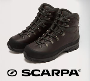 Scarpa