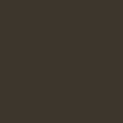 Colour option icon