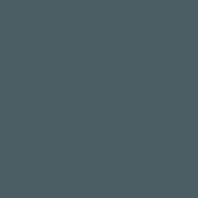 Colour option icon