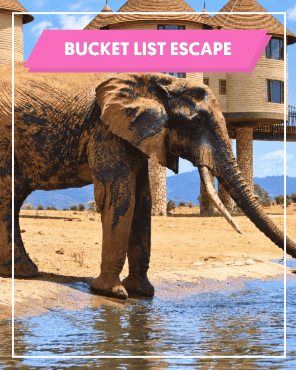 Kenya Safari & PrideInn Flamingo