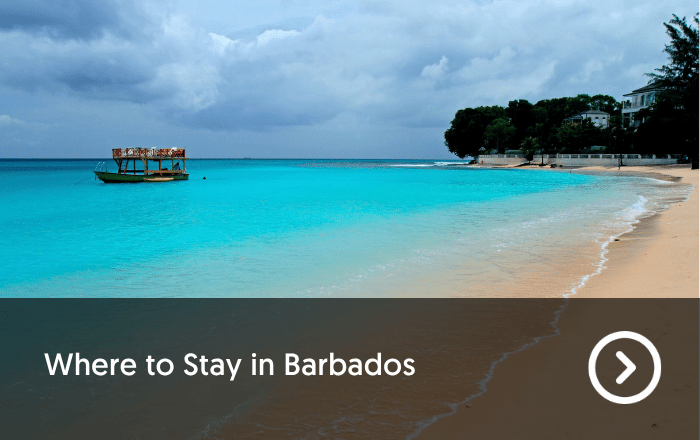 Barbados Blog