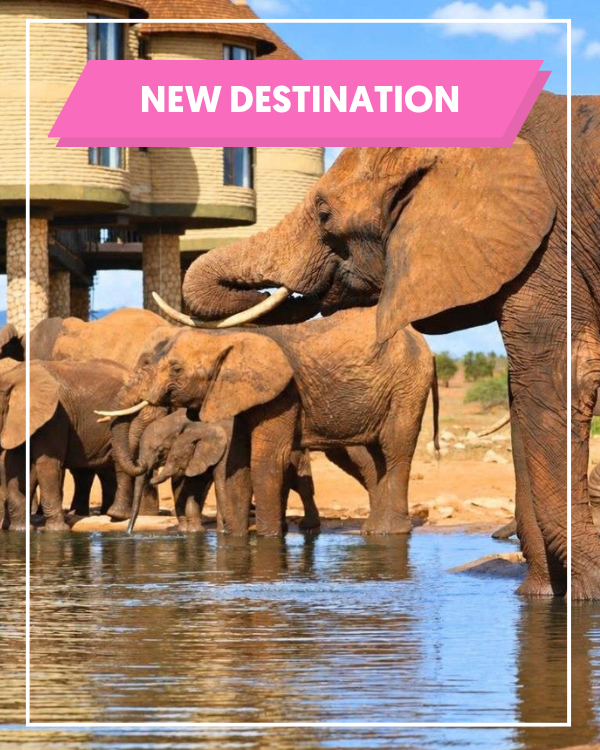 Kenya Safari & Beach Stay