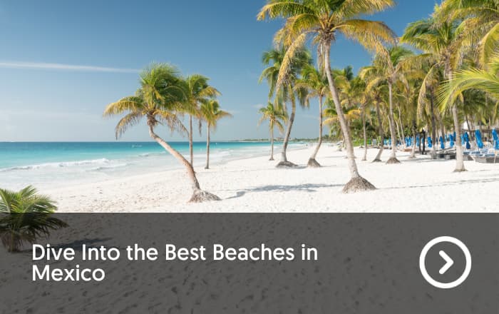 Dive Into the Best Beaches in Mexico