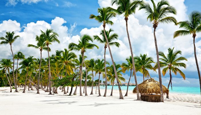 Embark On A Luxurious 5* Holiday In The Dominican Republic Inc. Junior Suite & More!