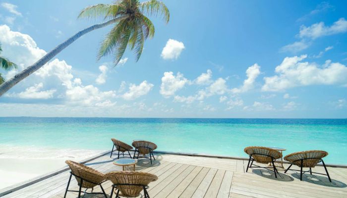 Malahini Kuda Bandos 