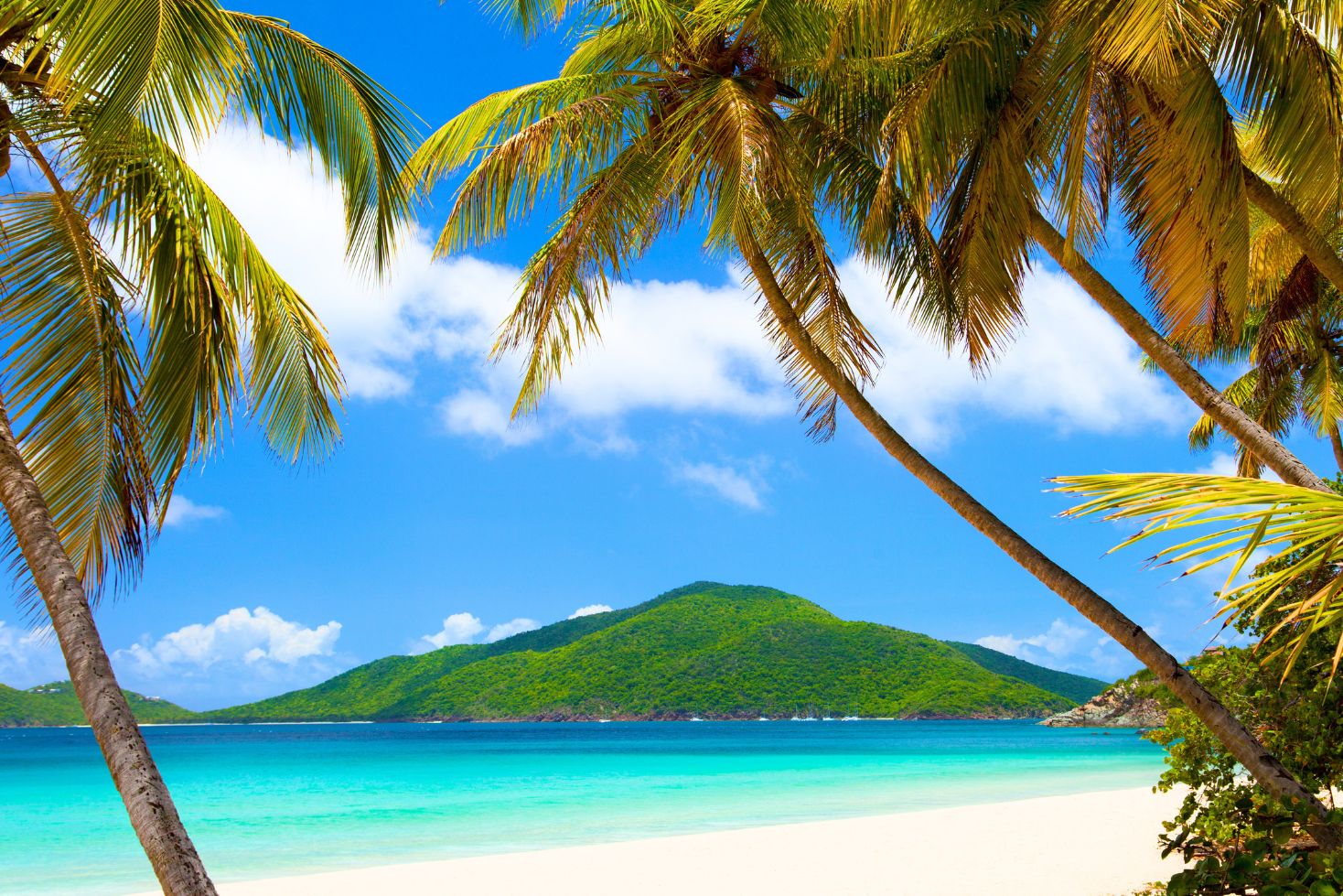 14 Nights, 8 Islands & One Incredible P&O Caribbean Cruise