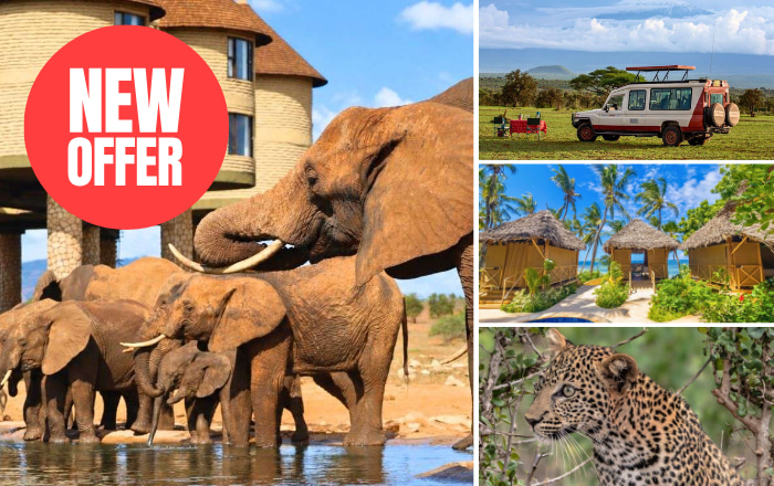 Kenya Safari & PrideInn Flamingo Beach Resort