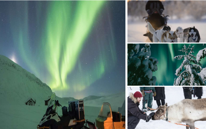 Northern Lights Tour