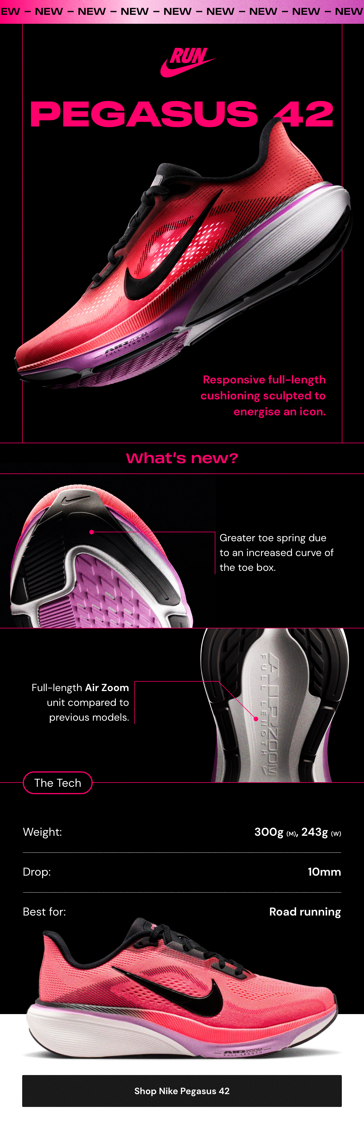 Shop Nike Pegasus 42 