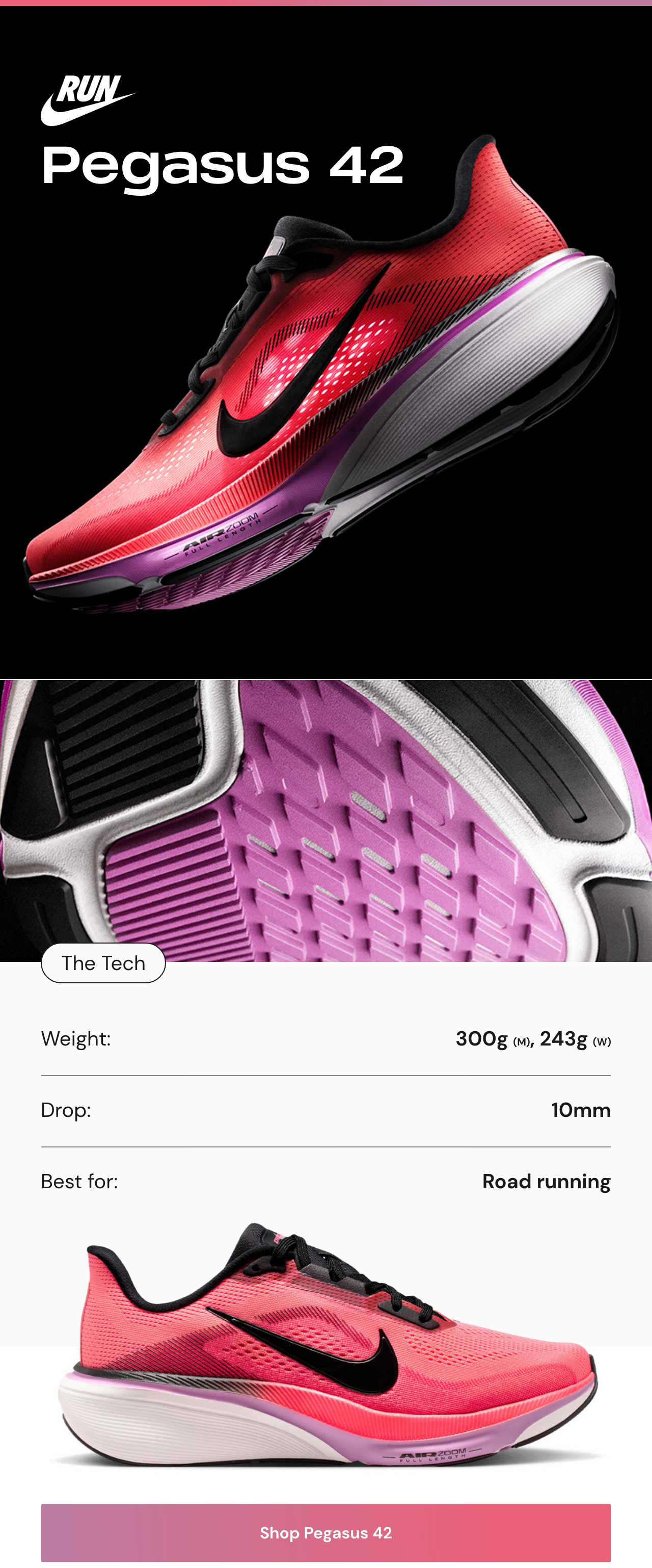 Shop Nike Pegasus 42