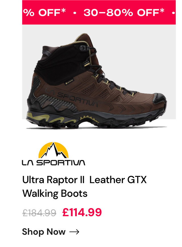 Ultra Raptor Leather GTX Walking Boots