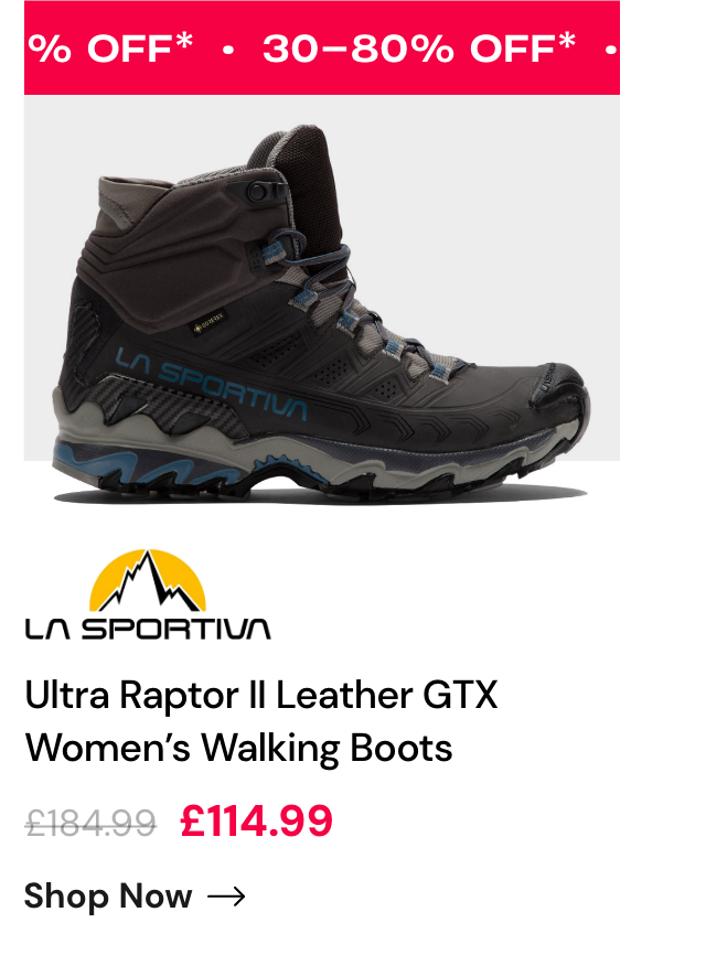 Ultra Raptor Leather GTX Womens Walking Boots 