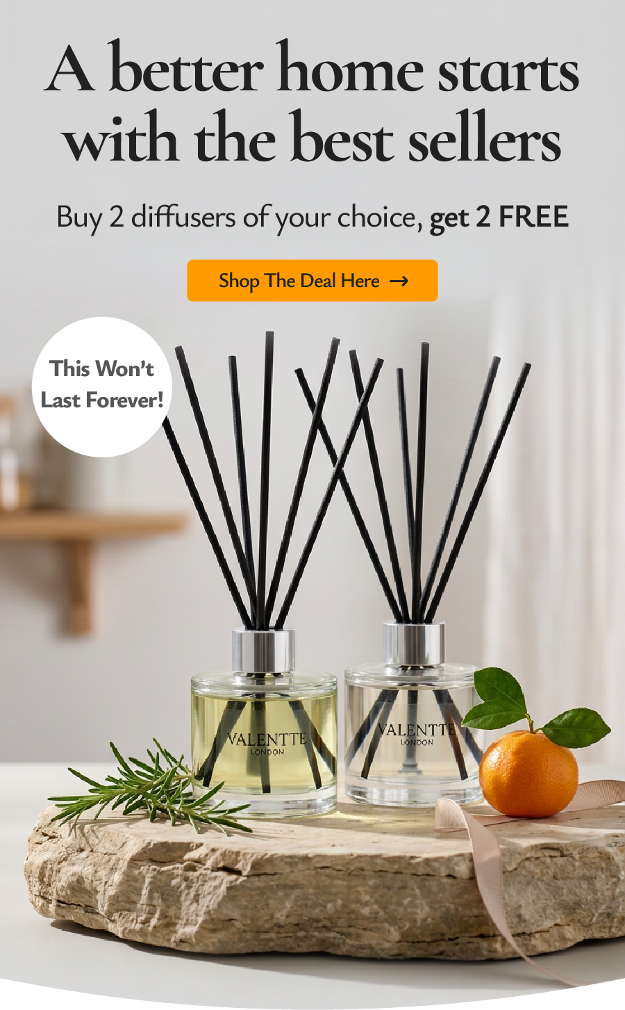 A Better Home Starts with the Best Sellers