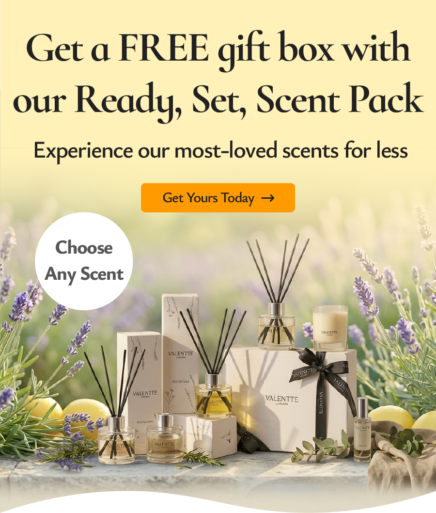  Experience the scents our customers love most