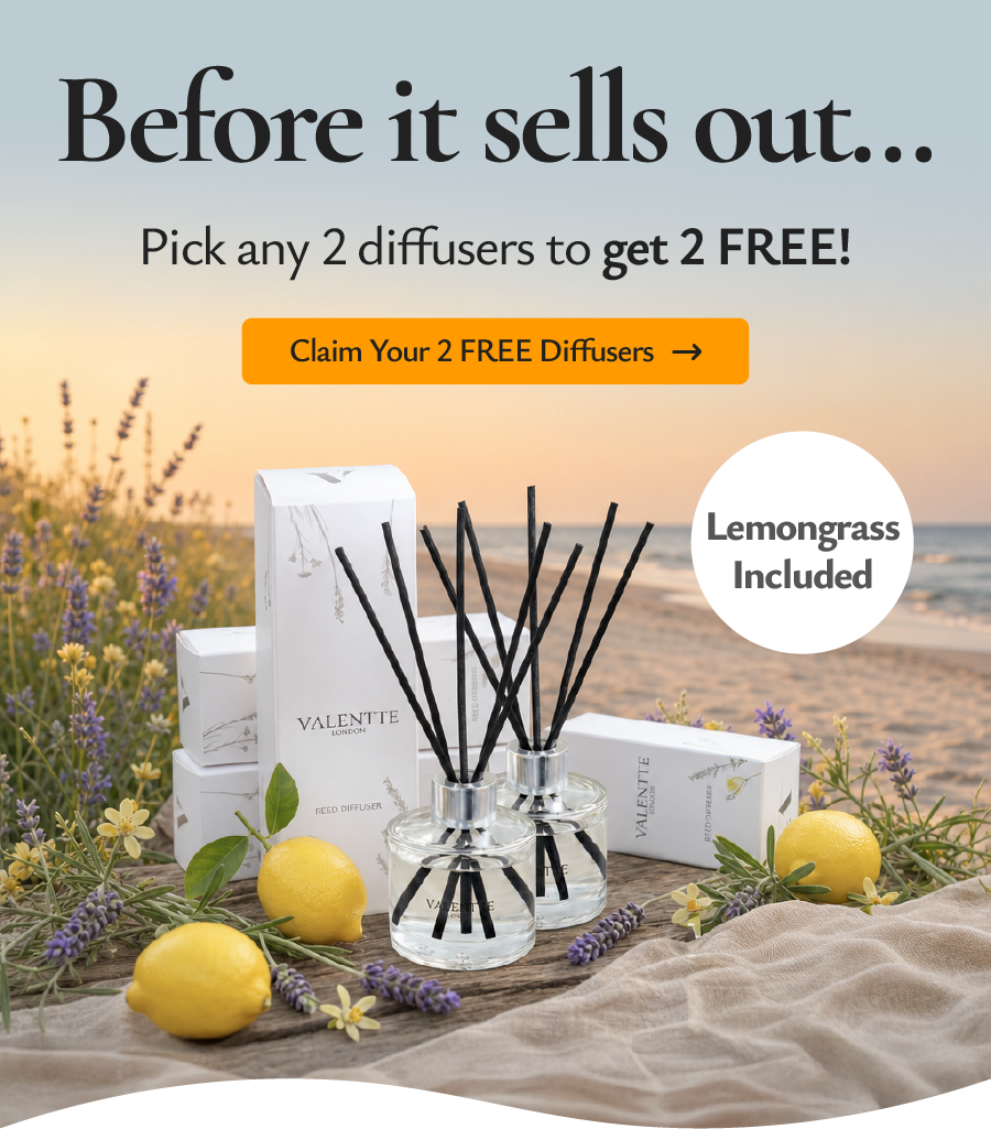Before it sells out again… pick any 2 diffusers, get 2 FREE!