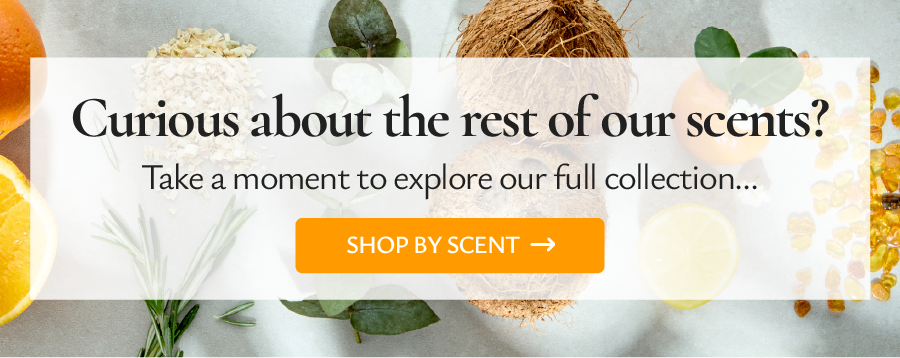 Curious about the rest of our scents? Explore our full collection here