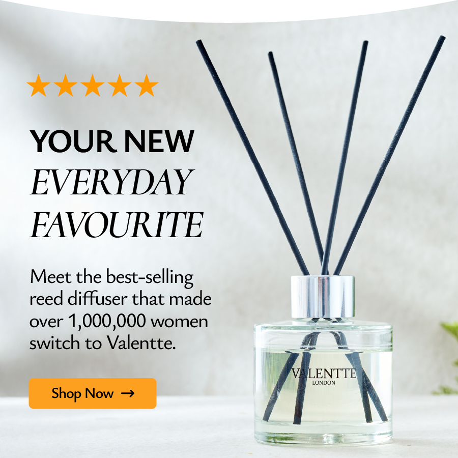 Your New Everyday Favourite