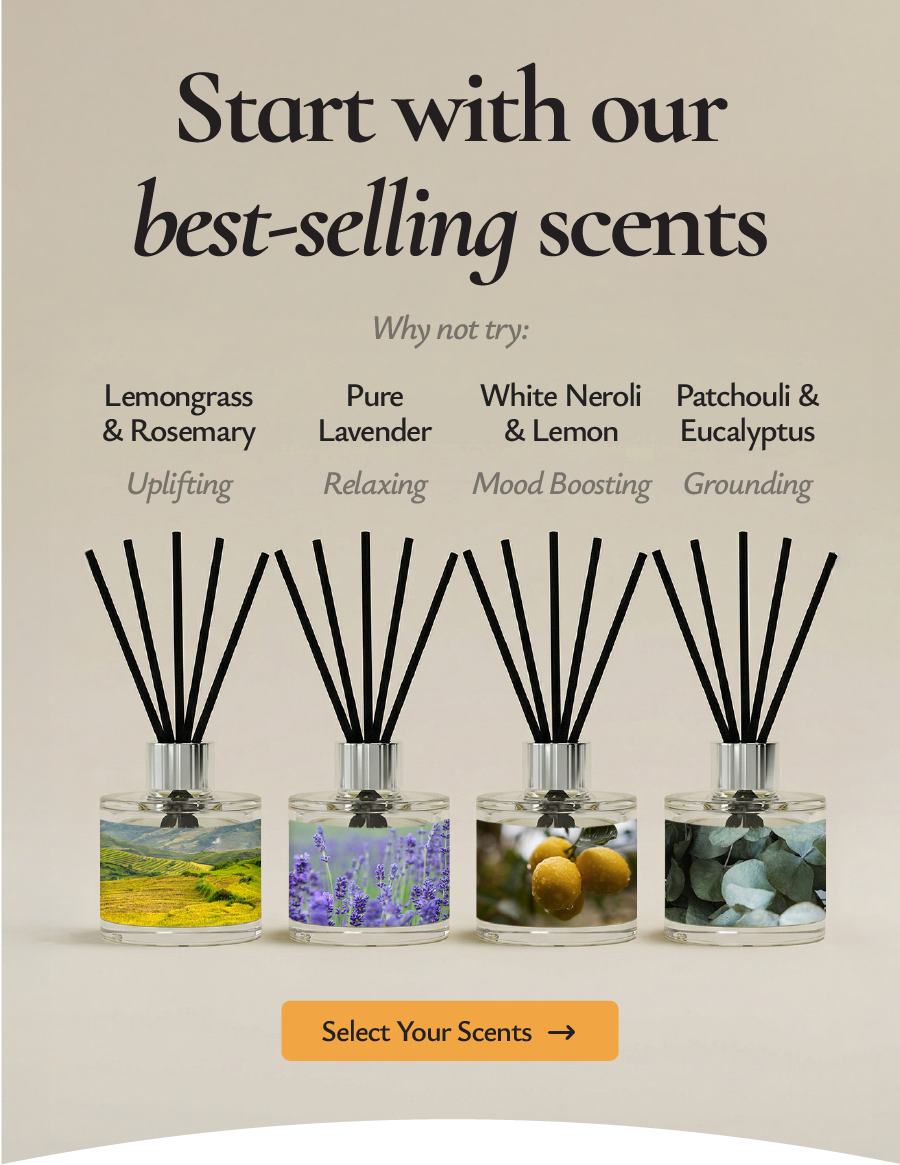 Start with our best-selling scents