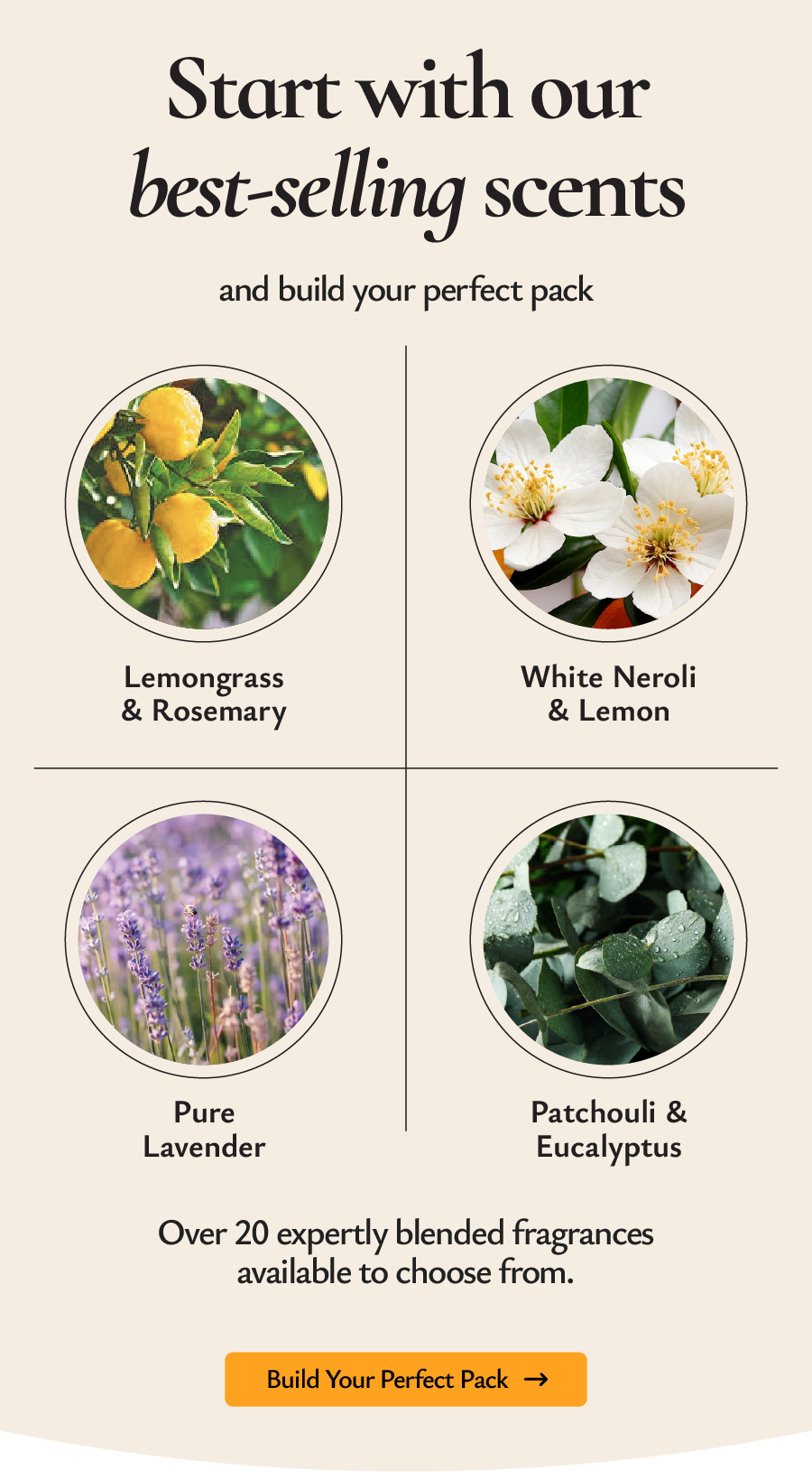 Start  with best-selling scents and build your perfect bundle! ( save £40 today).